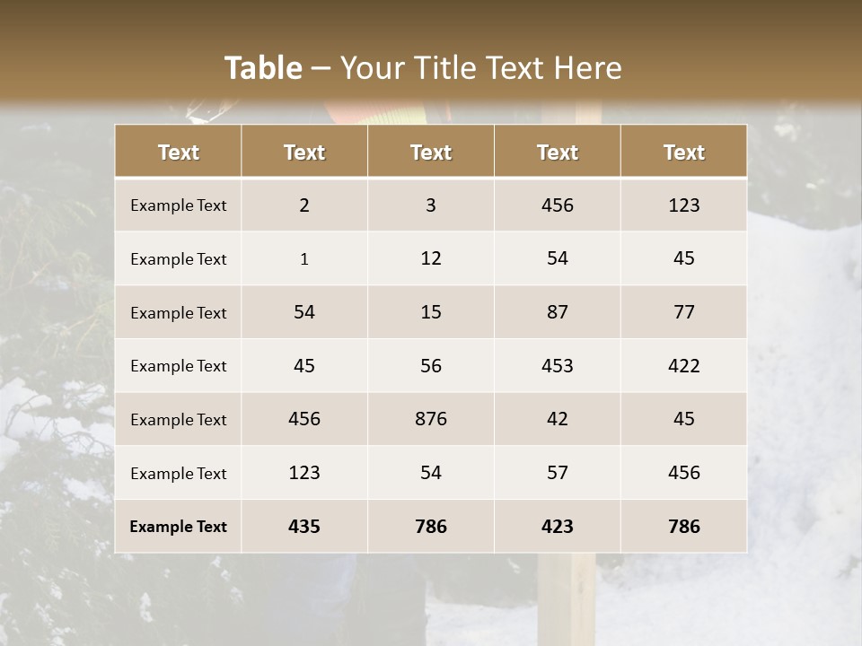 A Person Standing Next To A Bird Feeder In The Snow PowerPoint Template