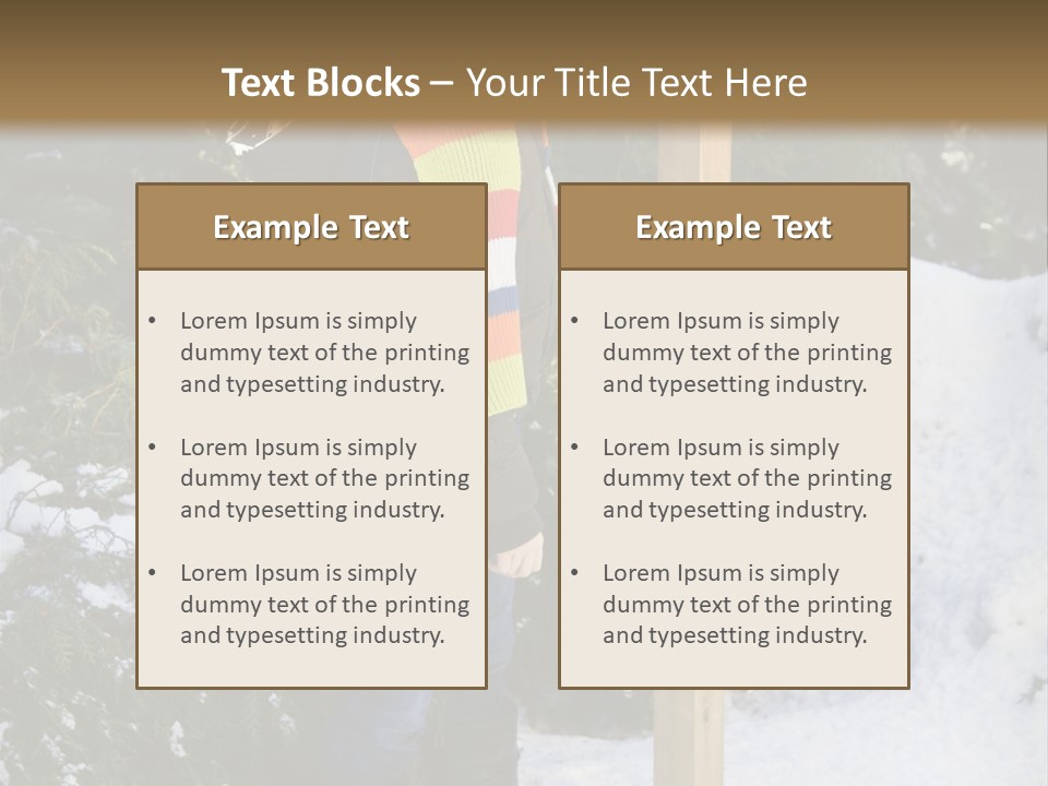 A Person Standing Next To A Bird Feeder In The Snow PowerPoint Template