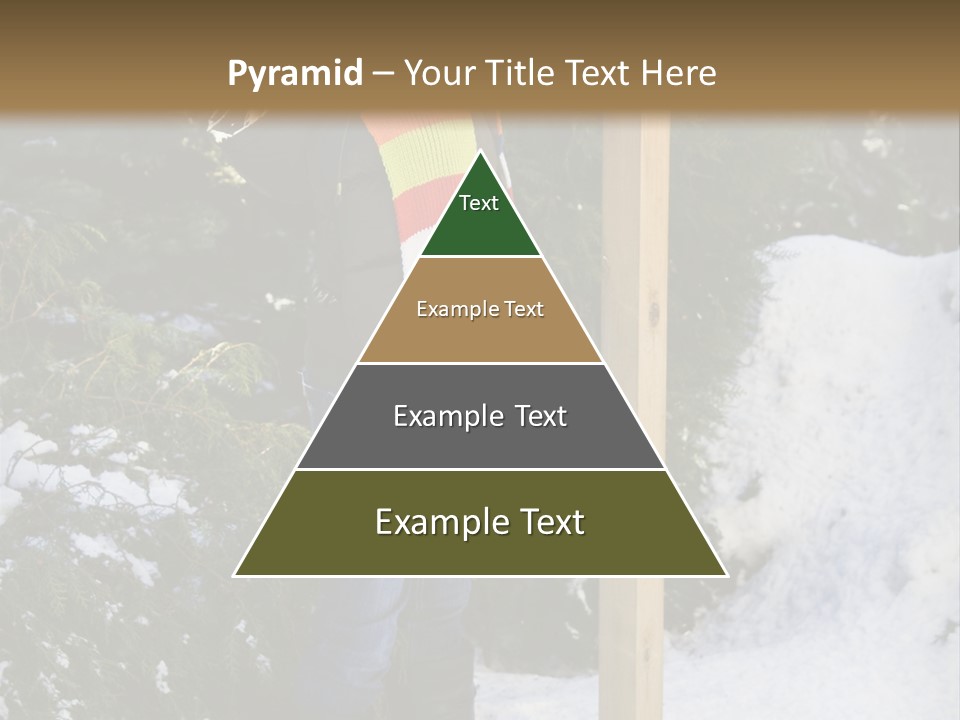 A Person Standing Next To A Bird Feeder In The Snow PowerPoint Template