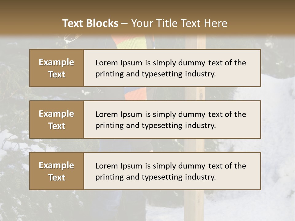 A Person Standing Next To A Bird Feeder In The Snow PowerPoint Template