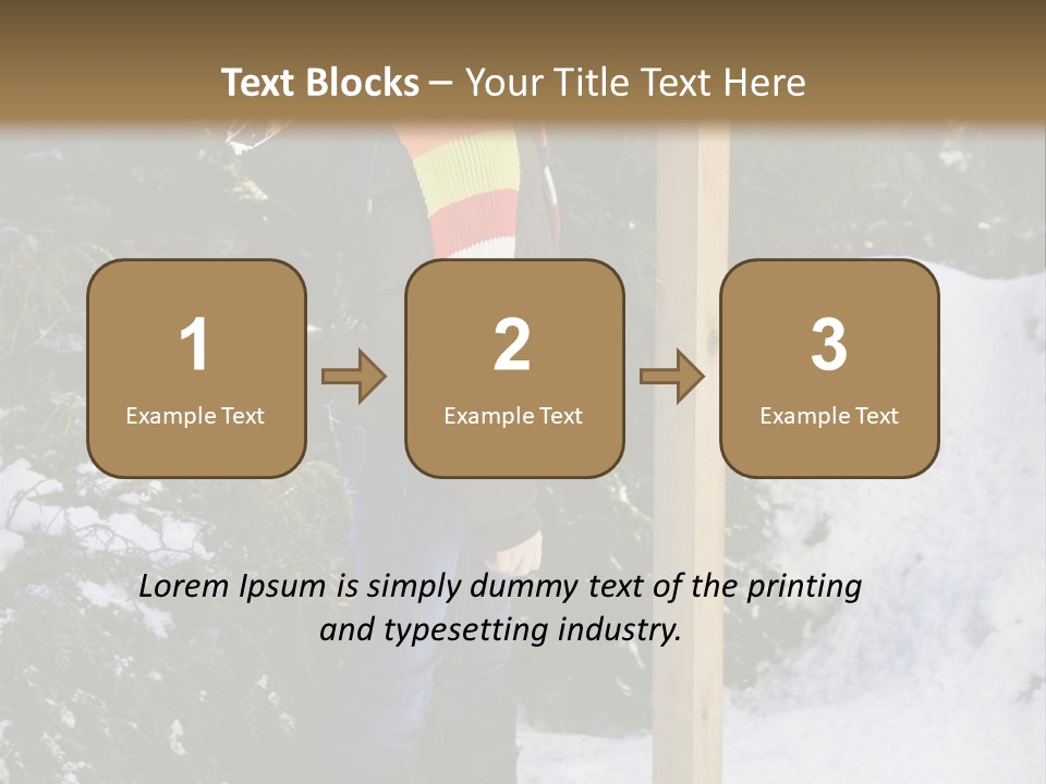 A Person Standing Next To A Bird Feeder In The Snow PowerPoint Template