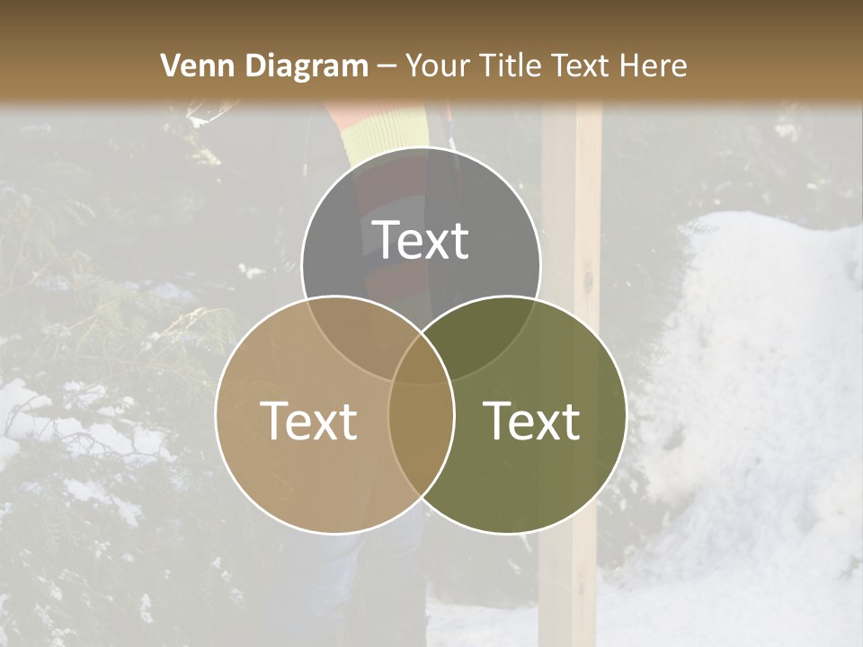 A Person Standing Next To A Bird Feeder In The Snow PowerPoint Template