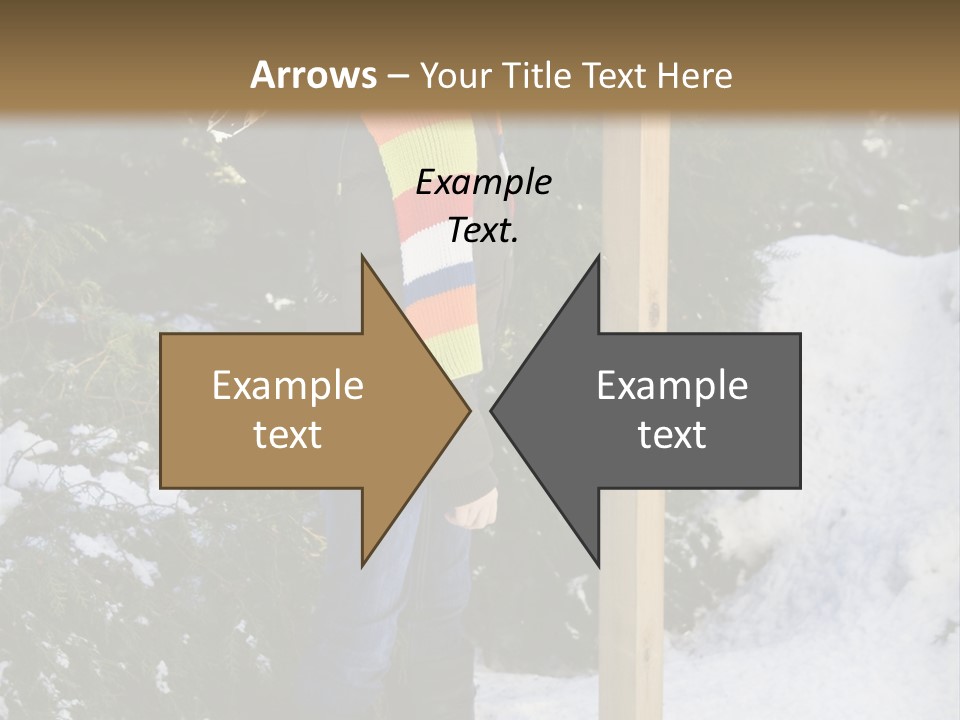 A Person Standing Next To A Bird Feeder In The Snow PowerPoint Template