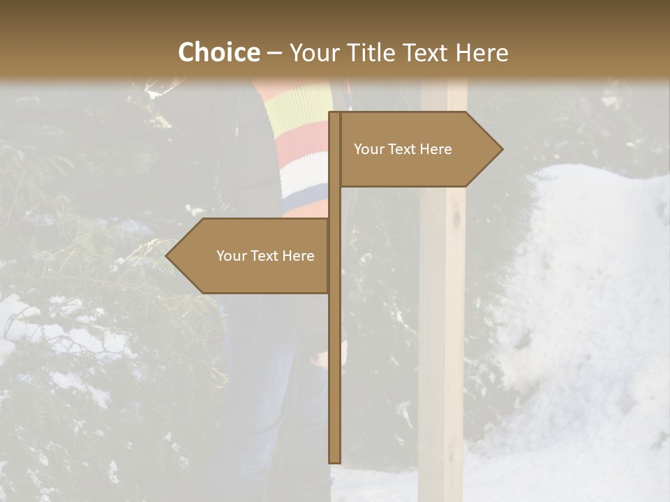 A Person Standing Next To A Bird Feeder In The Snow PowerPoint Template