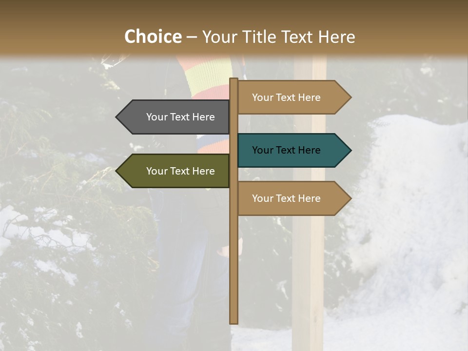 A Person Standing Next To A Bird Feeder In The Snow PowerPoint Template