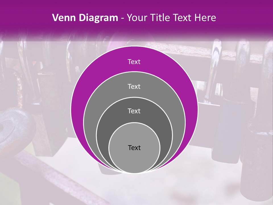A Bunch Of Padlocks Are Attached To A Fence PowerPoint Template