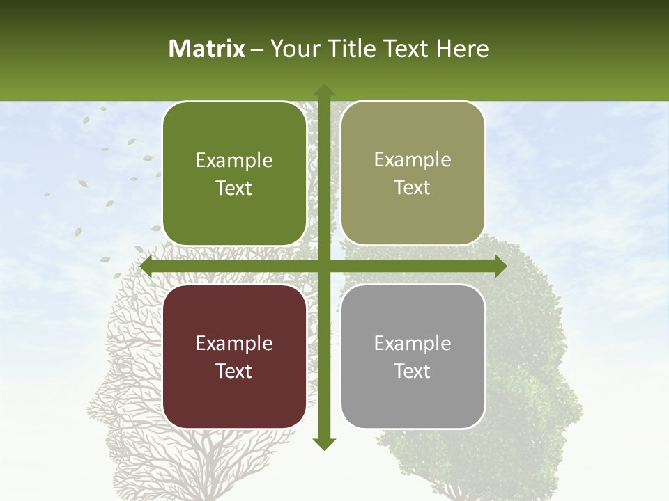 A Picture Of A Tree And A Human's Lungs PowerPoint Template