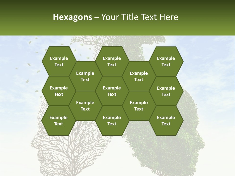 A Picture Of A Tree And A Human's Lungs PowerPoint Template