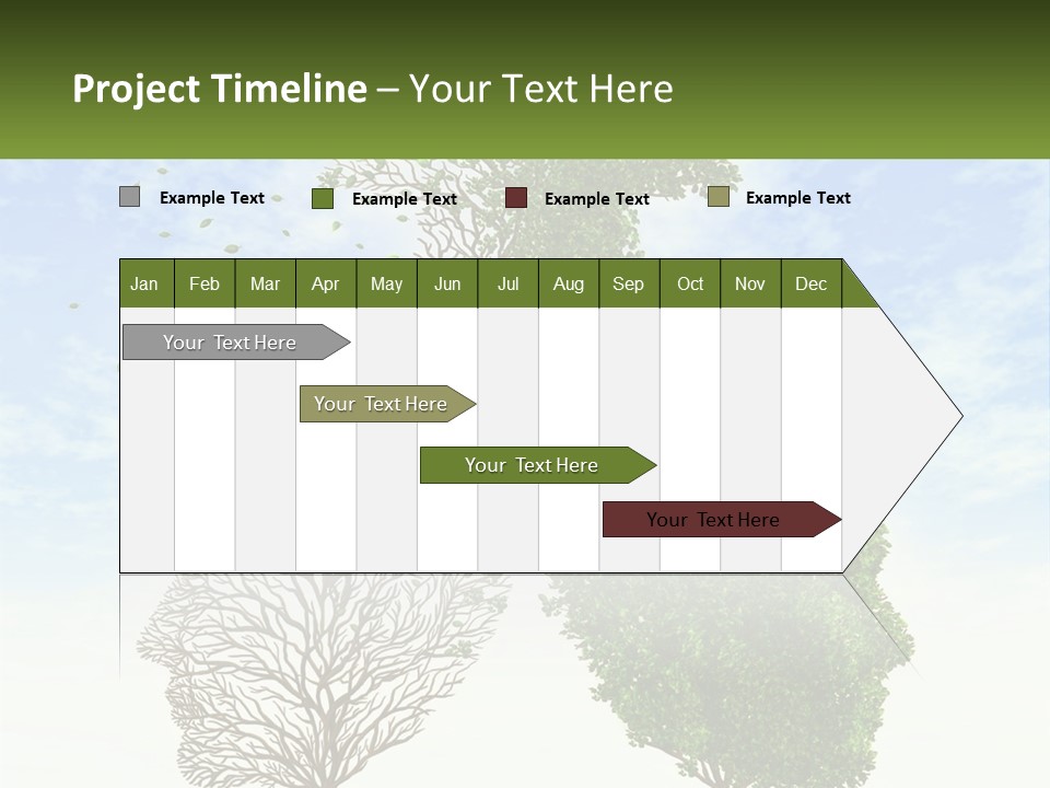 A Picture Of A Tree And A Human's Lungs PowerPoint Template
