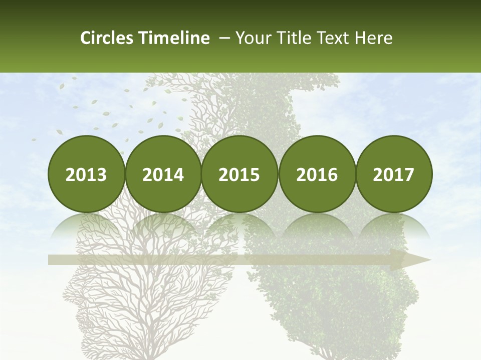 A Picture Of A Tree And A Human's Lungs PowerPoint Template