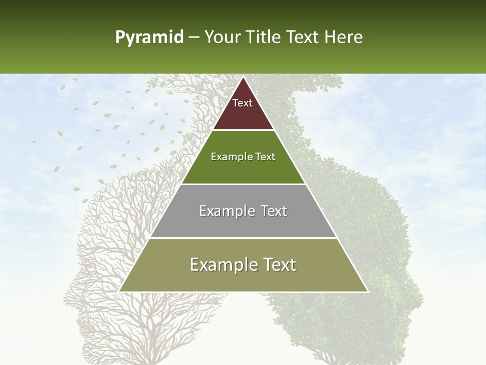 A Picture Of A Tree And A Human's Lungs PowerPoint Template