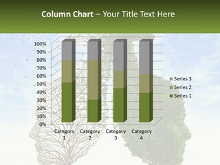 A Picture Of A Tree And A Human's Lungs PowerPoint Template