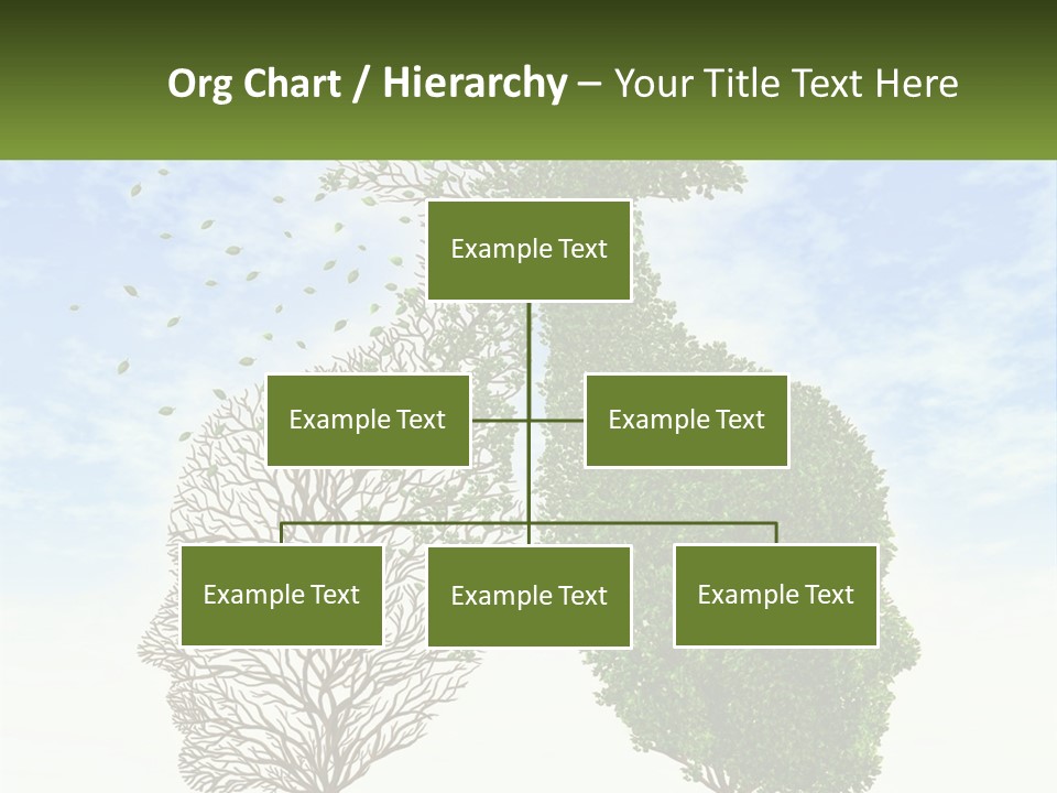 A Picture Of A Tree And A Human's Lungs PowerPoint Template