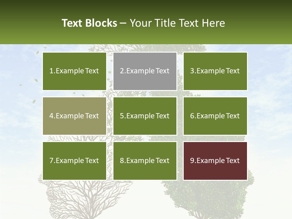 A Picture Of A Tree And A Human's Lungs PowerPoint Template