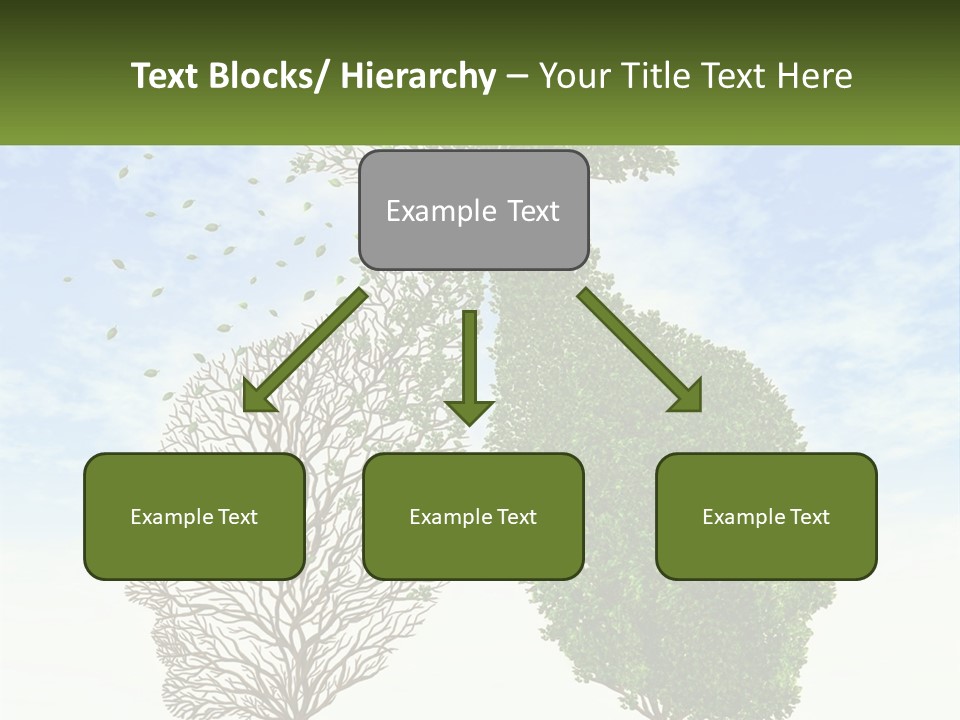 A Picture Of A Tree And A Human's Lungs PowerPoint Template