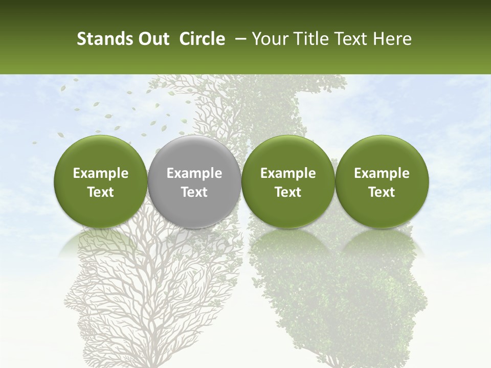 A Picture Of A Tree And A Human's Lungs PowerPoint Template