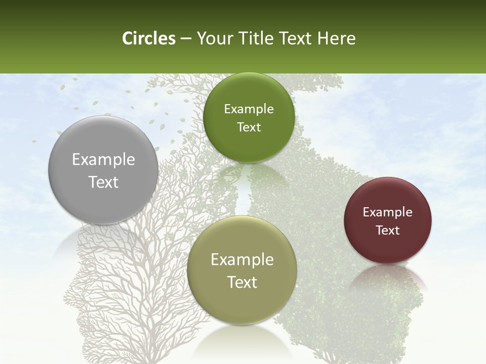A Picture Of A Tree And A Human's Lungs PowerPoint Template
