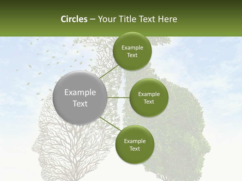 A Picture Of A Tree And A Human's Lungs PowerPoint Template