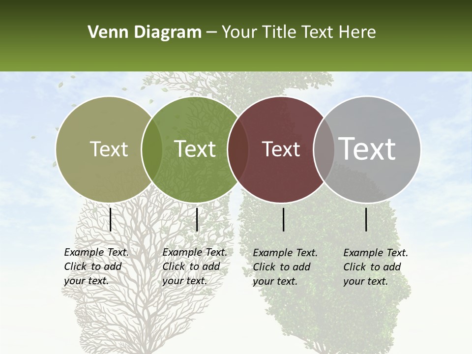 A Picture Of A Tree And A Human's Lungs PowerPoint Template