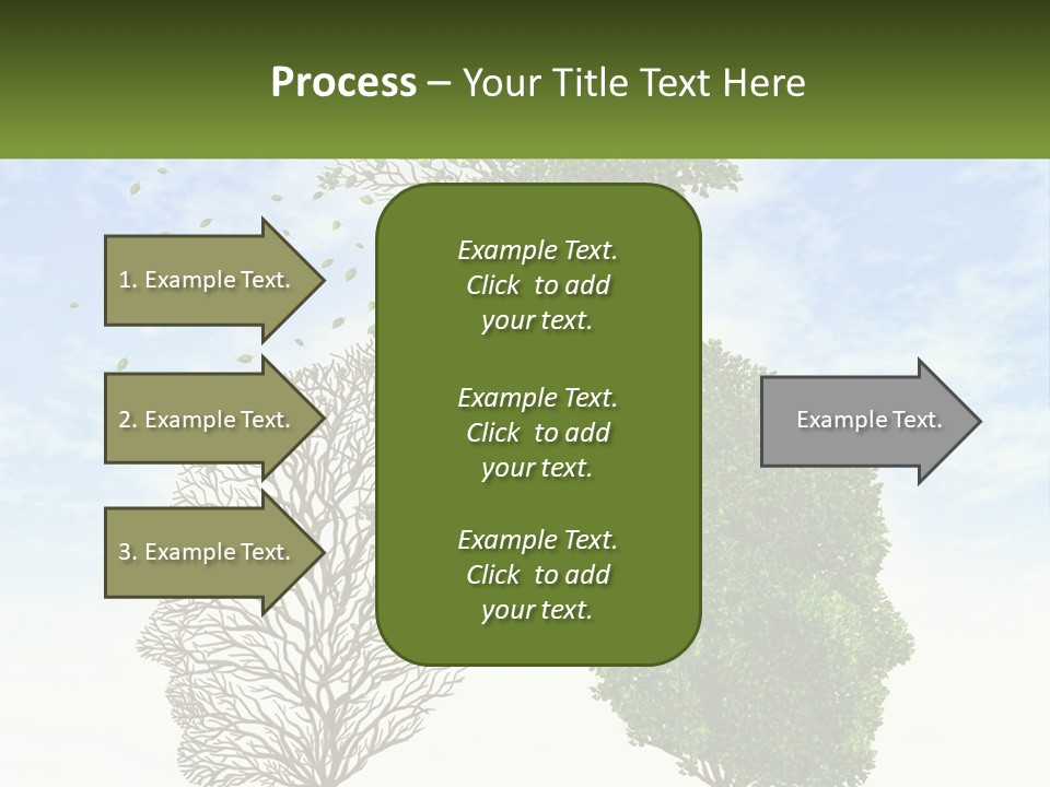 A Picture Of A Tree And A Human's Lungs PowerPoint Template