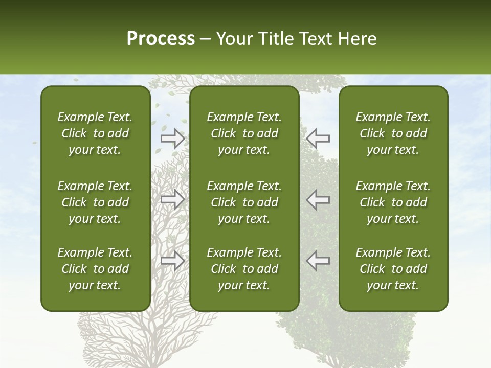 A Picture Of A Tree And A Human's Lungs PowerPoint Template