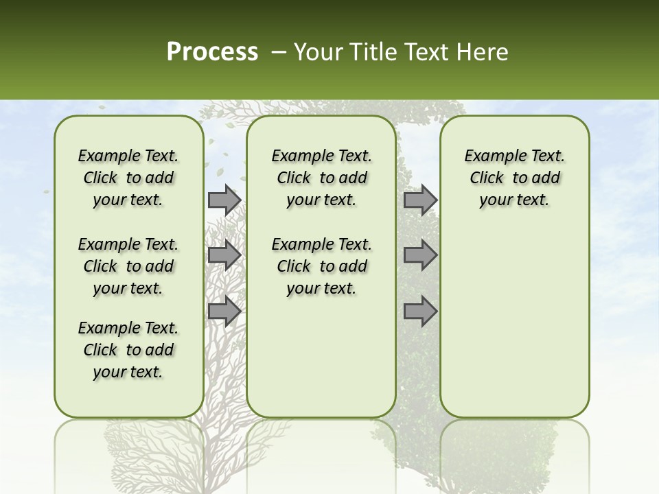 A Picture Of A Tree And A Human's Lungs PowerPoint Template
