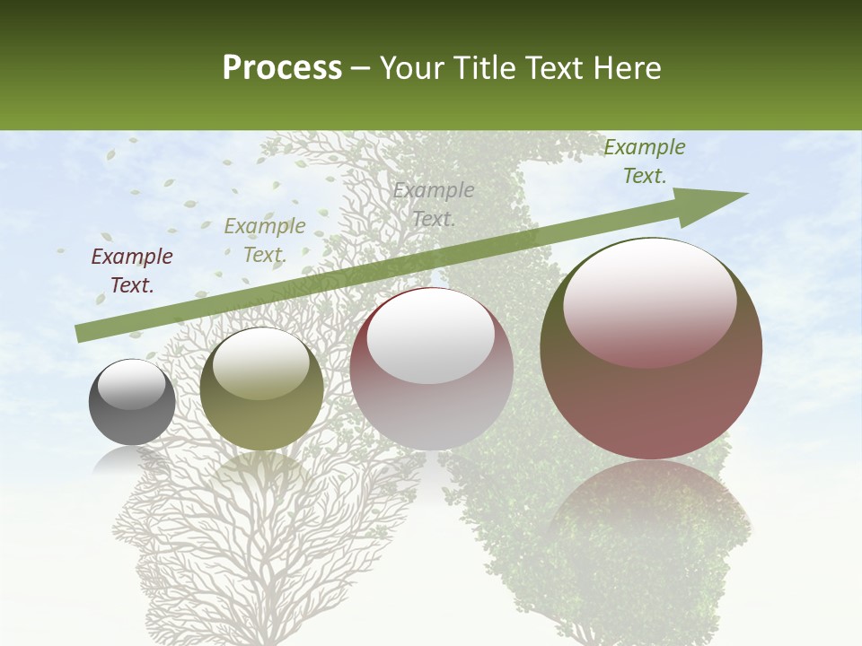 A Picture Of A Tree And A Human's Lungs PowerPoint Template