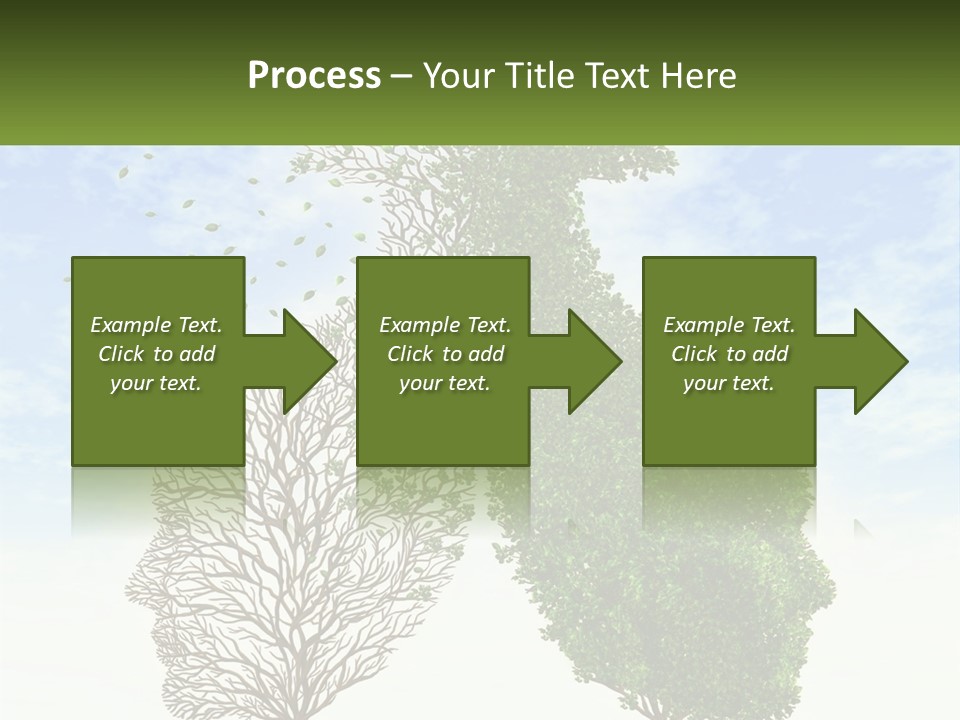 A Picture Of A Tree And A Human's Lungs PowerPoint Template