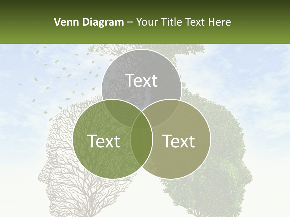 A Picture Of A Tree And A Human's Lungs PowerPoint Template