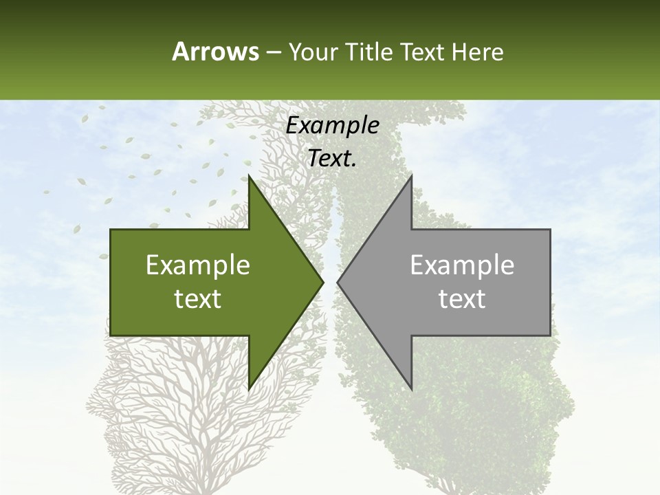 A Picture Of A Tree And A Human's Lungs PowerPoint Template
