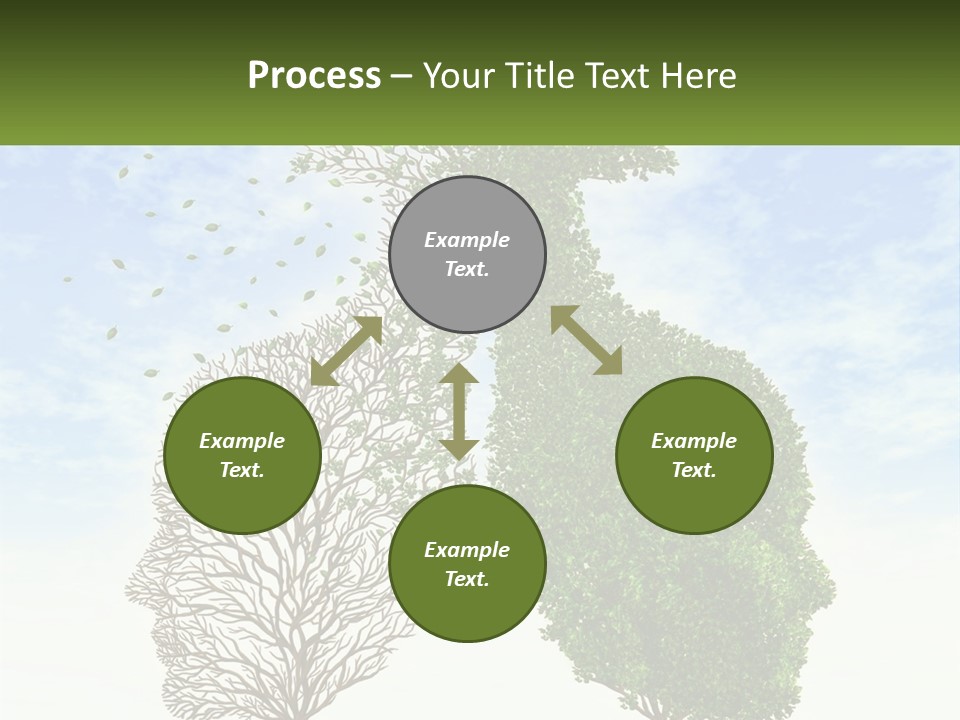 A Picture Of A Tree And A Human's Lungs PowerPoint Template