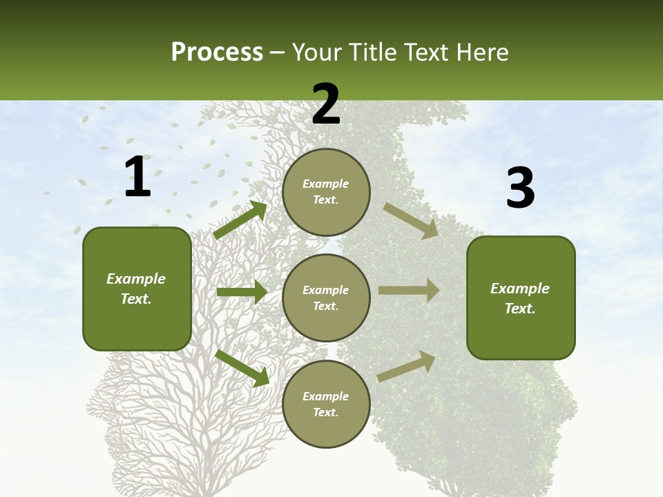 A Picture Of A Tree And A Human's Lungs PowerPoint Template
