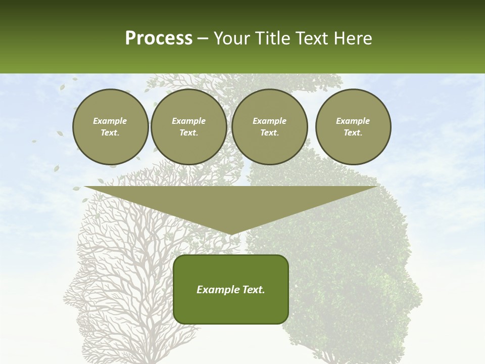 A Picture Of A Tree And A Human's Lungs PowerPoint Template