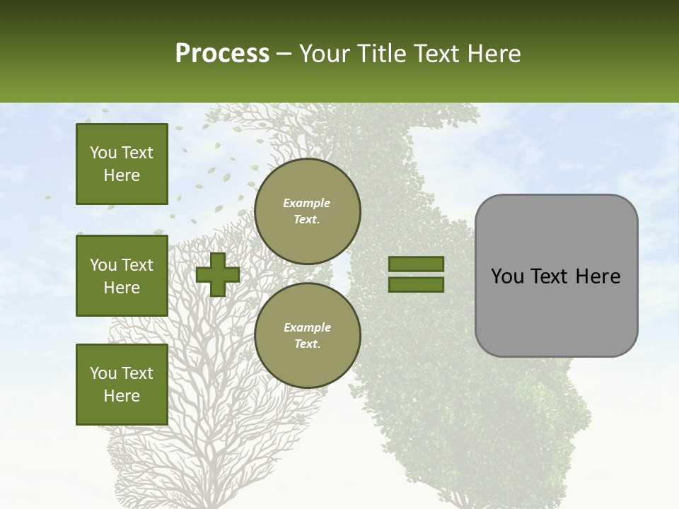 A Picture Of A Tree And A Human's Lungs PowerPoint Template