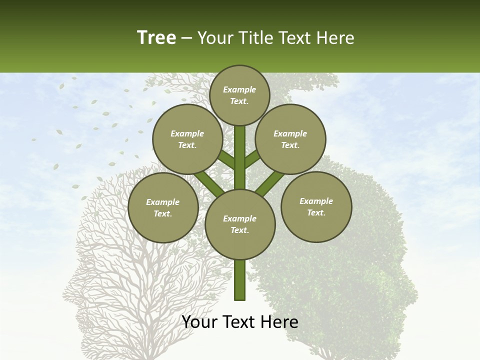 A Picture Of A Tree And A Human's Lungs PowerPoint Template