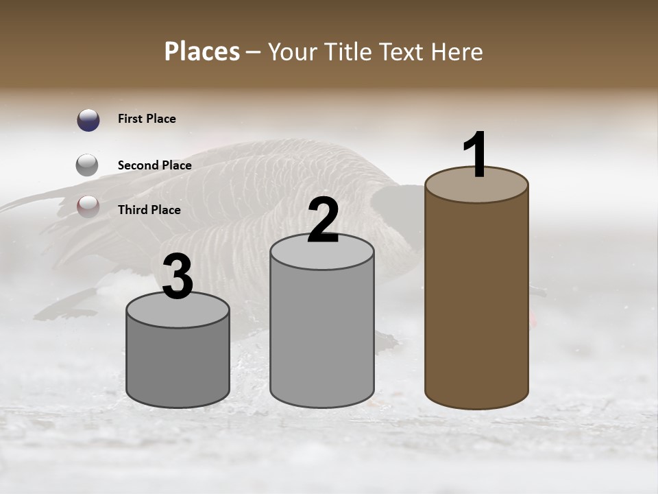 A Goose Is Running Through The Water With It's Beak In It's PowerPoint Template