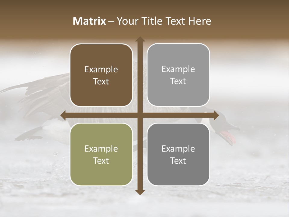 A Goose Is Running Through The Water With It's Beak In It's PowerPoint Template