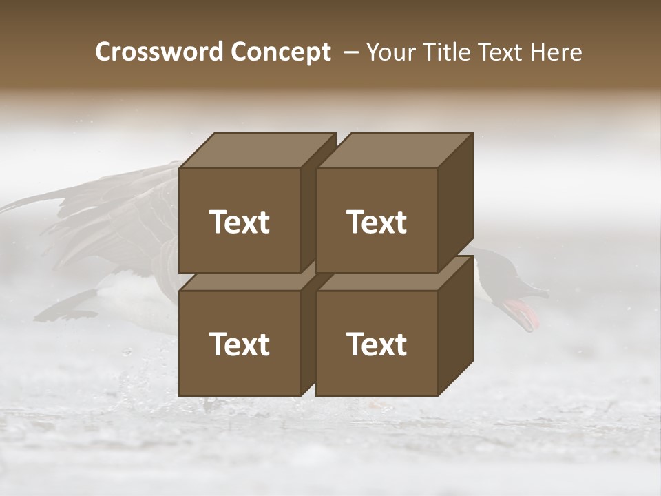 A Goose Is Running Through The Water With It's Beak In It's PowerPoint Template
