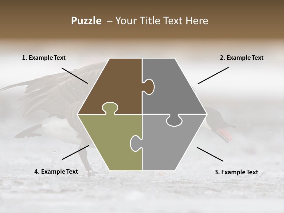 A Goose Is Running Through The Water With It's Beak In It's PowerPoint Template