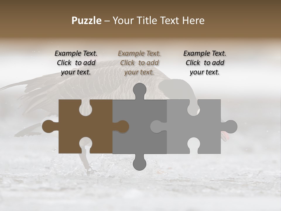 A Goose Is Running Through The Water With It's Beak In It's PowerPoint Template