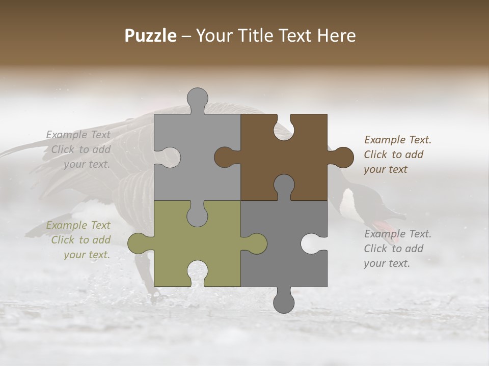 A Goose Is Running Through The Water With It's Beak In It's PowerPoint Template