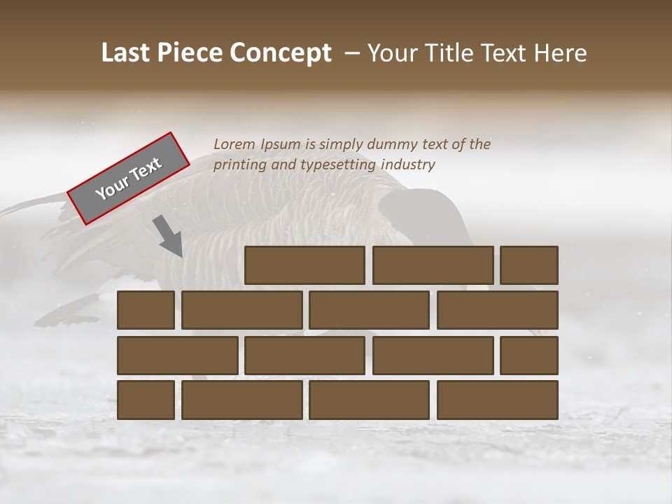 A Goose Is Running Through The Water With It's Beak In It's PowerPoint Template