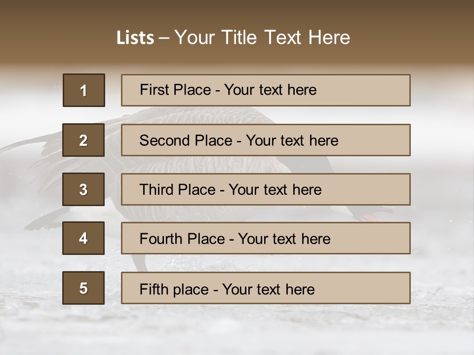 A Goose Is Running Through The Water With It's Beak In It's PowerPoint Template