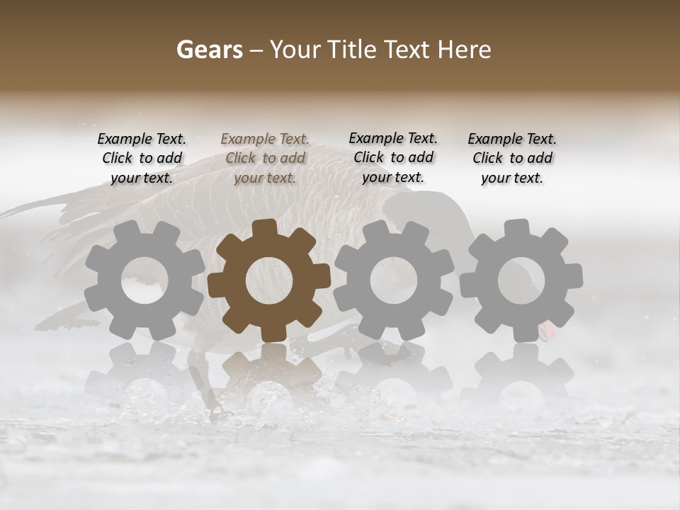 A Goose Is Running Through The Water With It's Beak In It's PowerPoint Template