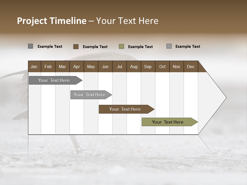 A Goose Is Running Through The Water With It's Beak In It's PowerPoint Template