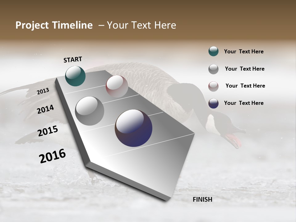 A Goose Is Running Through The Water With It's Beak In It's PowerPoint Template