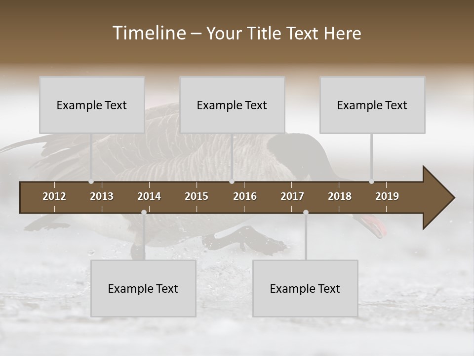 A Goose Is Running Through The Water With It's Beak In It's PowerPoint Template