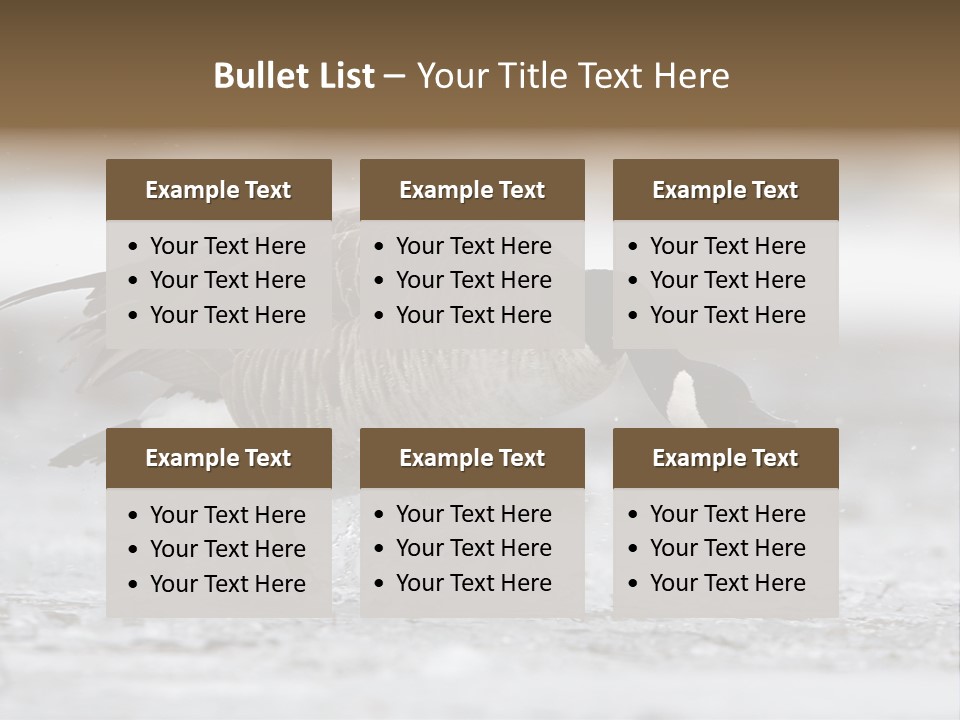 A Goose Is Running Through The Water With It's Beak In It's PowerPoint Template
