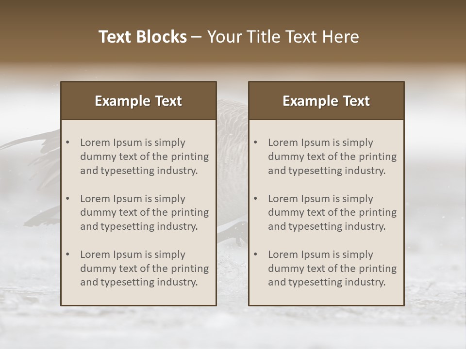 A Goose Is Running Through The Water With It's Beak In It's PowerPoint Template