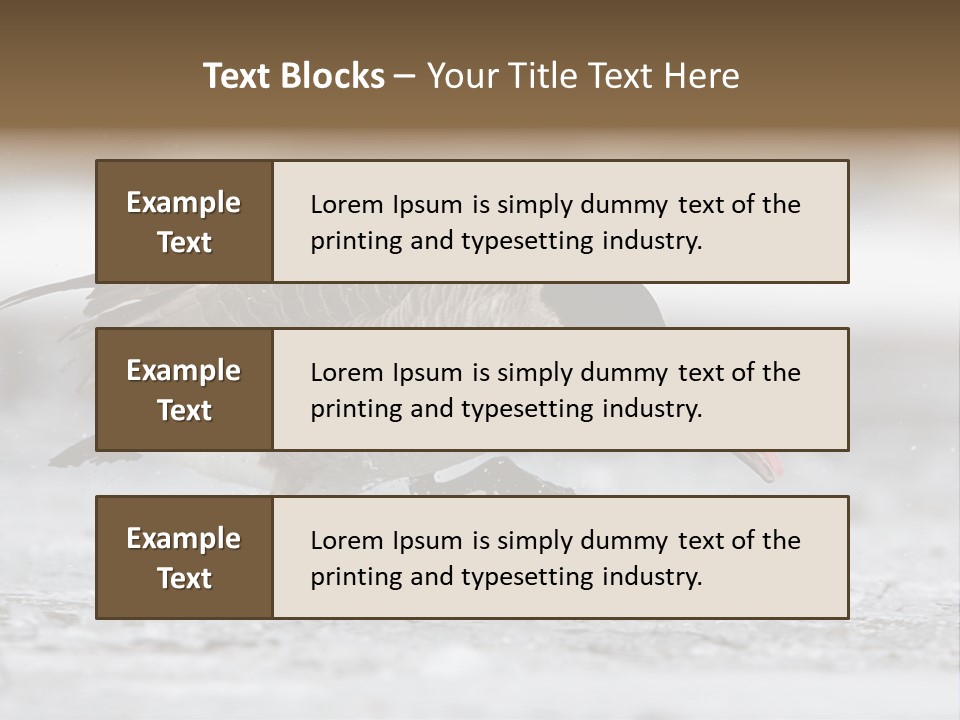 A Goose Is Running Through The Water With It's Beak In It's PowerPoint Template